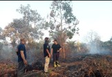 Kualitas Udara Memburuk, Lahan Terbakar di Pekanbaru Capai 91,6 Hektar