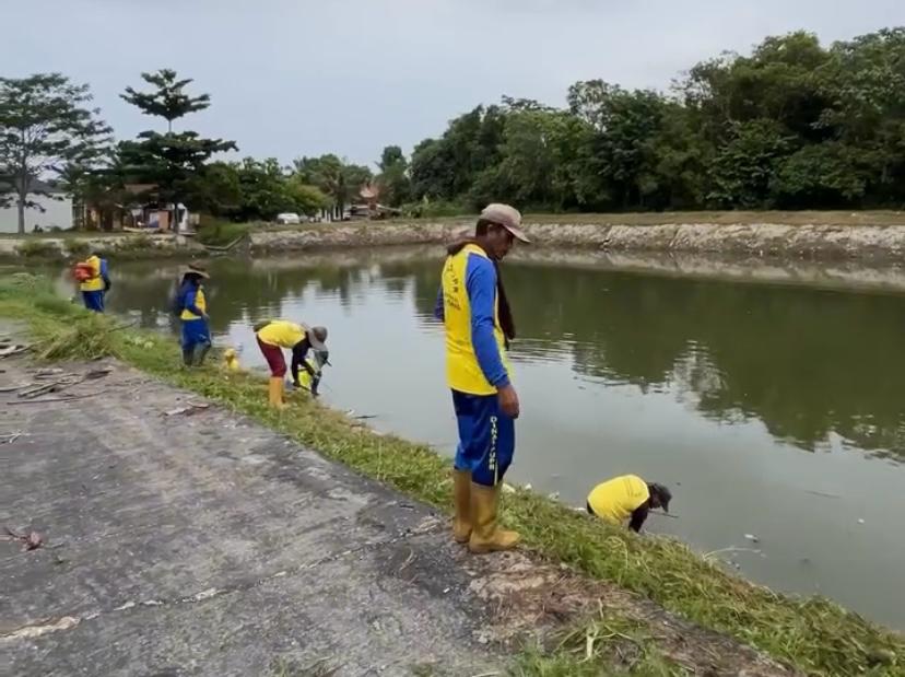 PUPR Pekanbaru Bersihkan Rumput Liar di Sekitar Waduk Cipta Karya