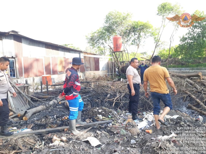 Cuaca Panas di Pekanbaru, BPBD Imbau Warga Jangan Picu Kebakaran Lahan