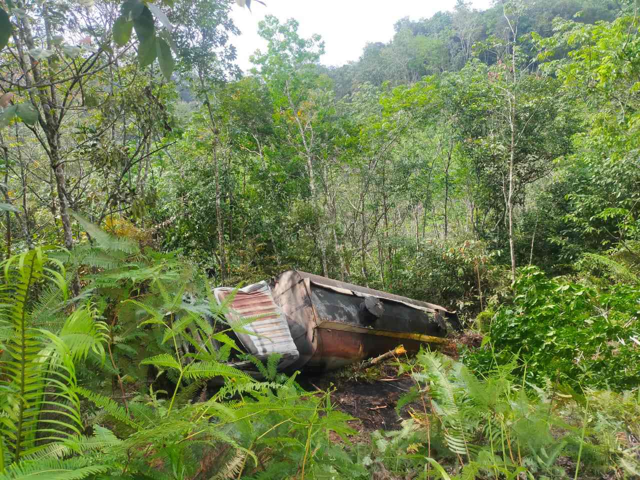 Gagal Nanjak, Truk CPO Terbakar Dalam Jurang Desa Tanjung Alai