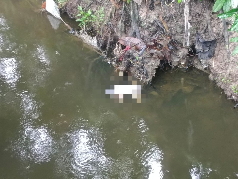 Pekanbaru Geger! Bayi Ditemukan Tewas Mengapung di Parit Perumahan