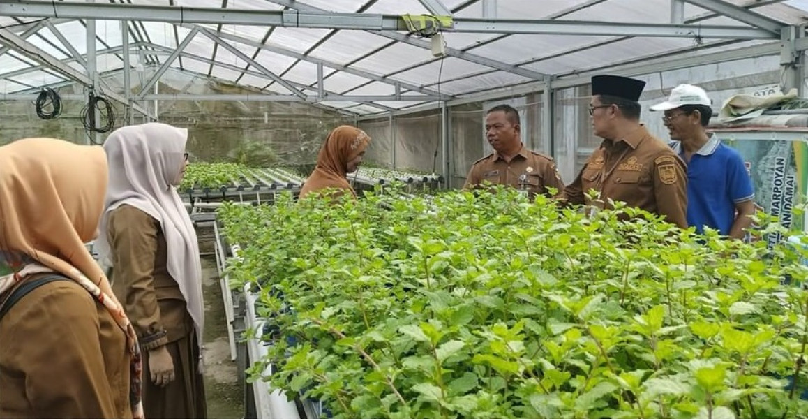 Tingkatkan Produktivitas Lahan, DKP Tinjau Sejumlah Lokasi Pertanian KWT