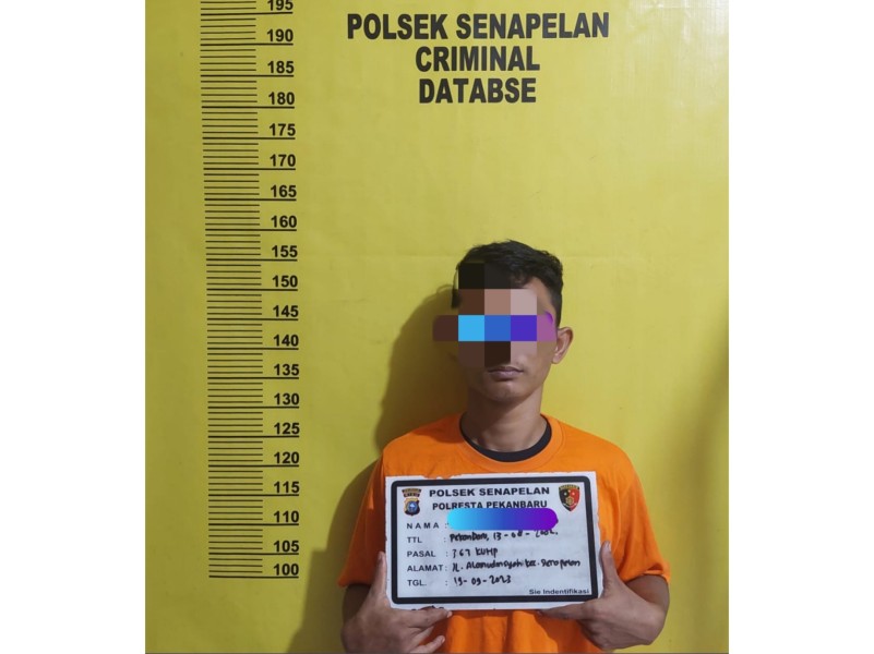 Aksi Dipergoki, Maling Modus Bobol Jendela Klinik Dibekuk Polisi