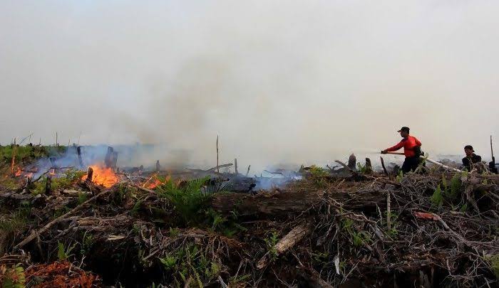 Karhutla di Pekanbaru Meluas, 7,4 Hektar Lahan Kosong Terbakar