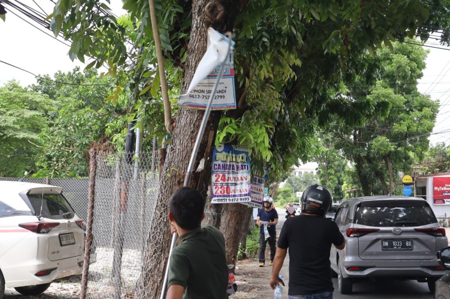 Ganggu Estetika Kota, Bapenda Pekanbaru Bongkar Iklan di Pohon