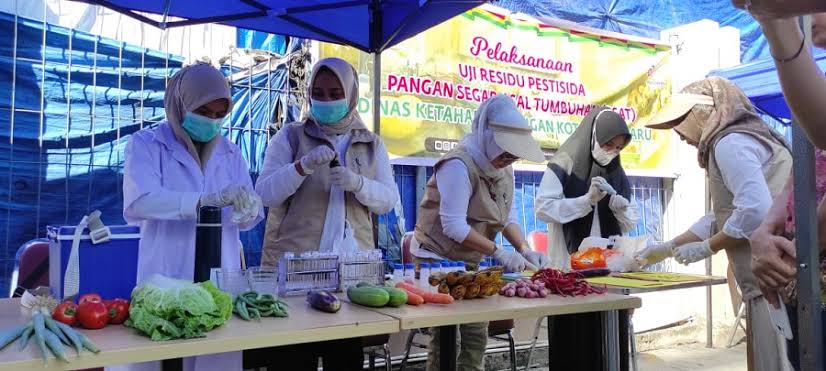 Disketapang Temukan Pangan Terkontaminasi Zat Kimia Berbahaya