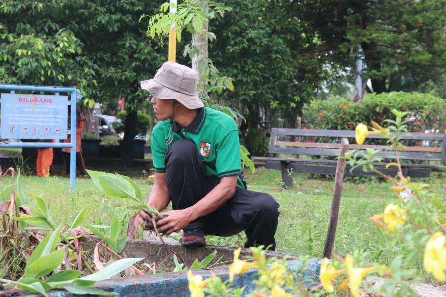 Percantik Wajah Pekanbaru, Wako Agung Benahi Kembali Taman Median Jalan