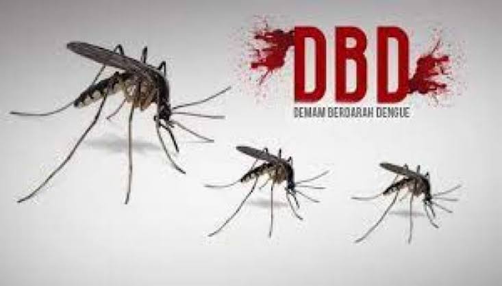 Meningkat, Diskes Pekanbaru Catat Ada 675 Kasus DBD