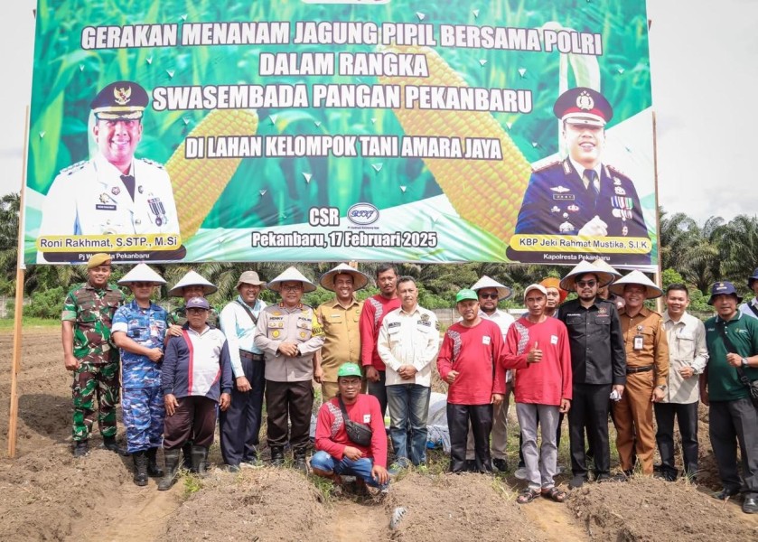 Dukung Swasembada Pangan, Wakil Ketua DPRD Pekanbaru Tanam Jagung Bersama