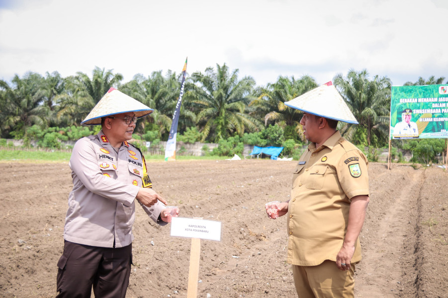 Pj Walikota Pekanbaru Tanam Jagung di Lahan 2 Hektare