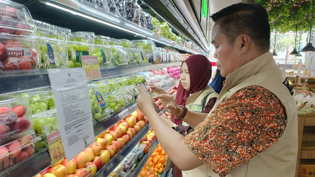 Disketapang Pekanbaru Pastikan Anggur Muscat Aman Konsumsi