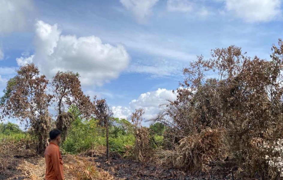 Kejadian Kebakaran Lahan di Pekanbaru Meningkat Tahun ini, Dipicu Kondisi Cuaca