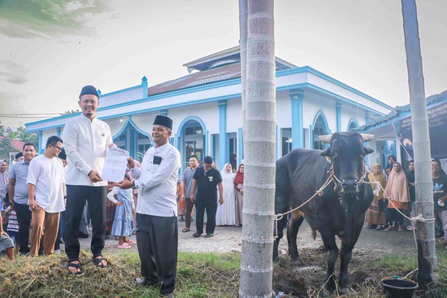 Wako Pekanbaru Serahkan Sapi Kurban Bantuan Presiden RI ke Masyarakat Rumbai