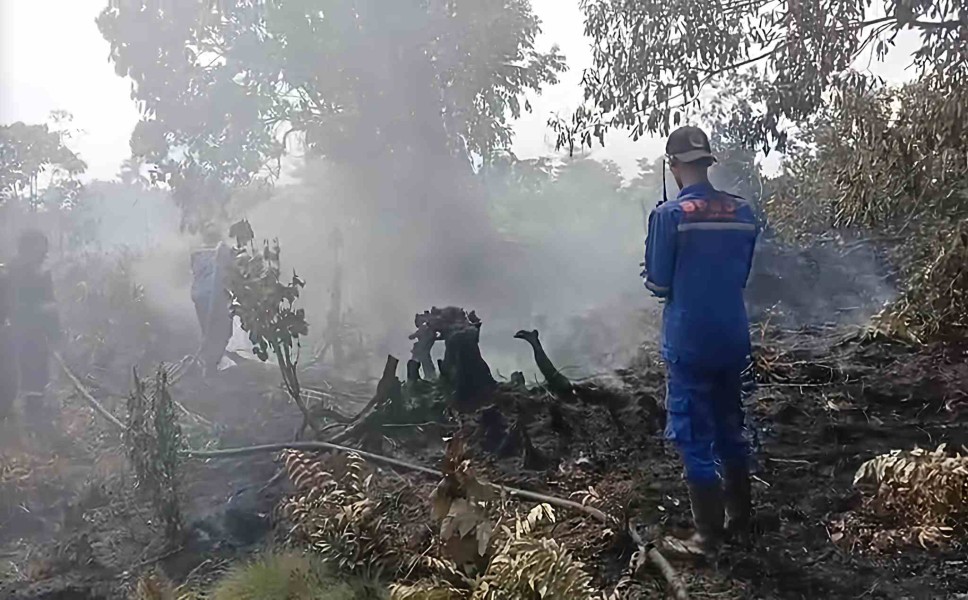 Intensitas Kebakaran Lahan di Pekanbaru Meningkat, 64,8 Hektar Hangus