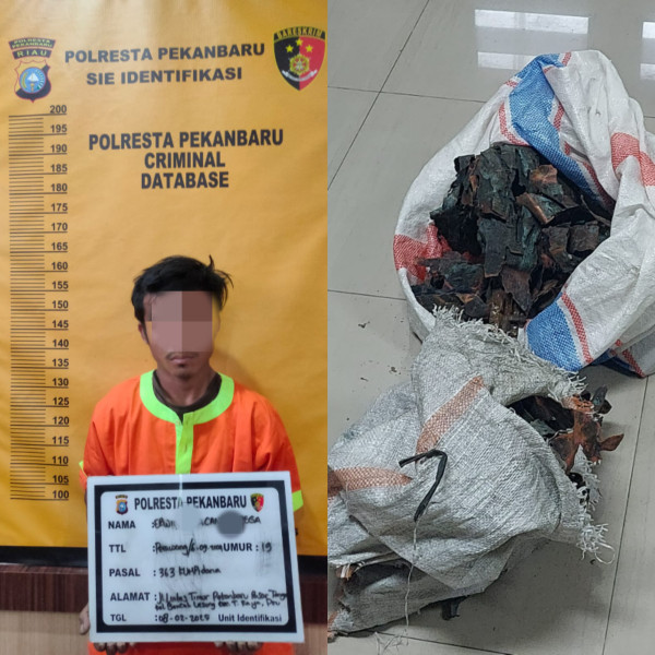 Pelaku Pencuri Lempengan Tembaga Tugu Zapin Pekanbaru Ditangkap Polisi