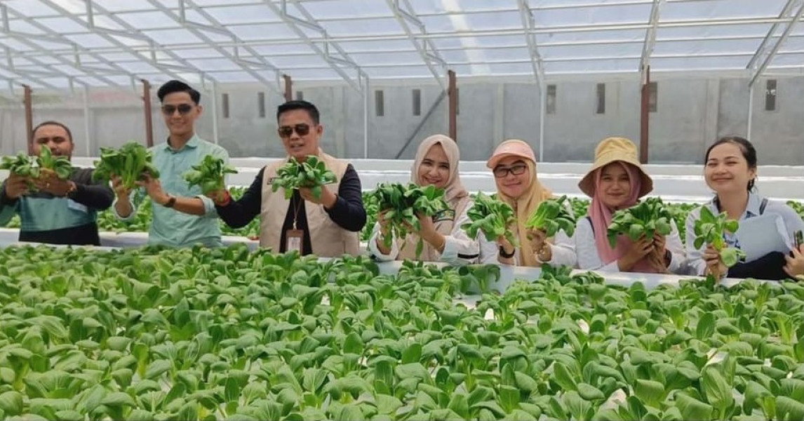 Kepala DKP Pekanbaru Tinjau Pertanian Hidroponik Kandis Green Farm