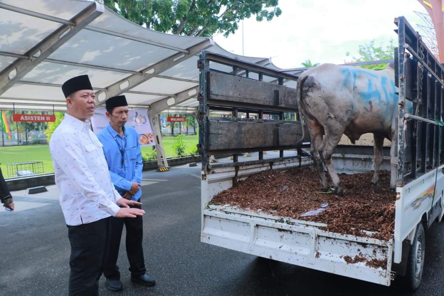 Sekdako Pekanbaru Terima Bantuan Sapi dari Taspen