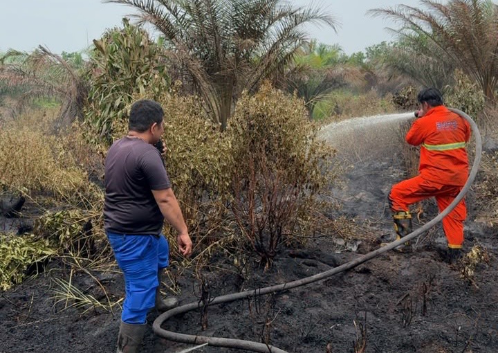 BPBD Pekanbaru Perketat Pengawasan di Wilayah Rawan Karhutla, Sudah 93,8 Hektar Lahan Terbakar