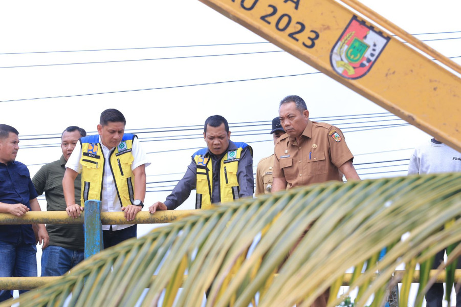 Kadis PUPR Dampingi Pj Wako Pekanbaru Tinjau Normalisasi Sungai Sail