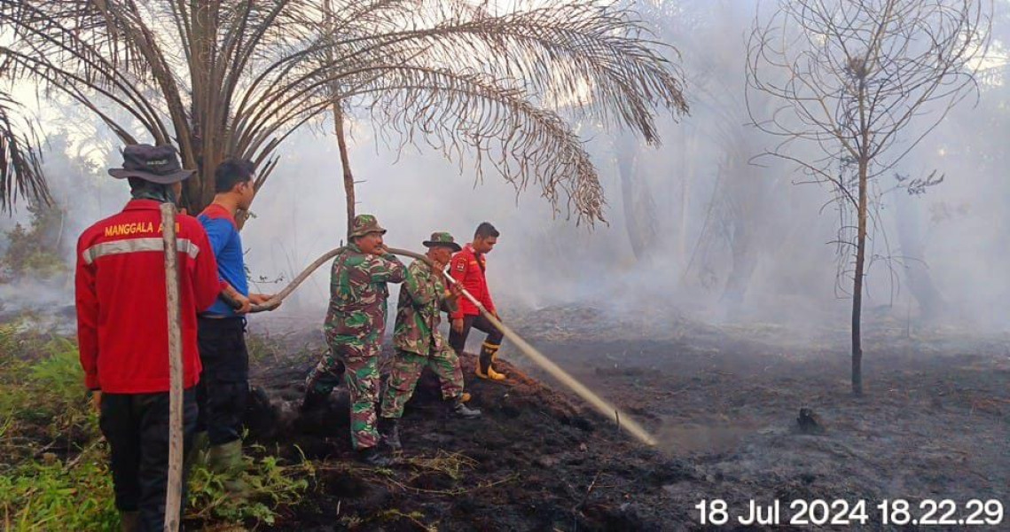 Lahan Gambut di Siak Terbakar, Petugas Kesulitan Lakukan Pemadaman