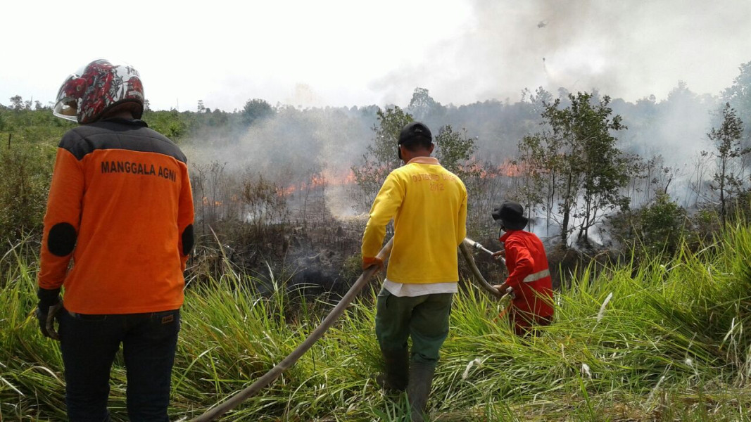 Pekanbaru dalam Siaga, Puluhan Anggota BPBD Pantau Kebakaran Lahan