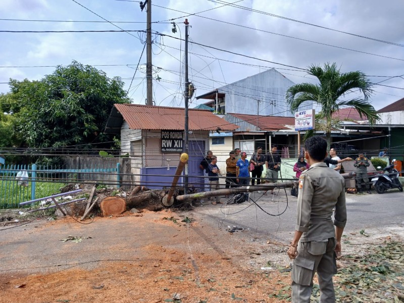Ganggu Aktivitas Masyarakat, Pemko Pekanbaru Evakuasi 2 Tiang Kabel FO Tumbang