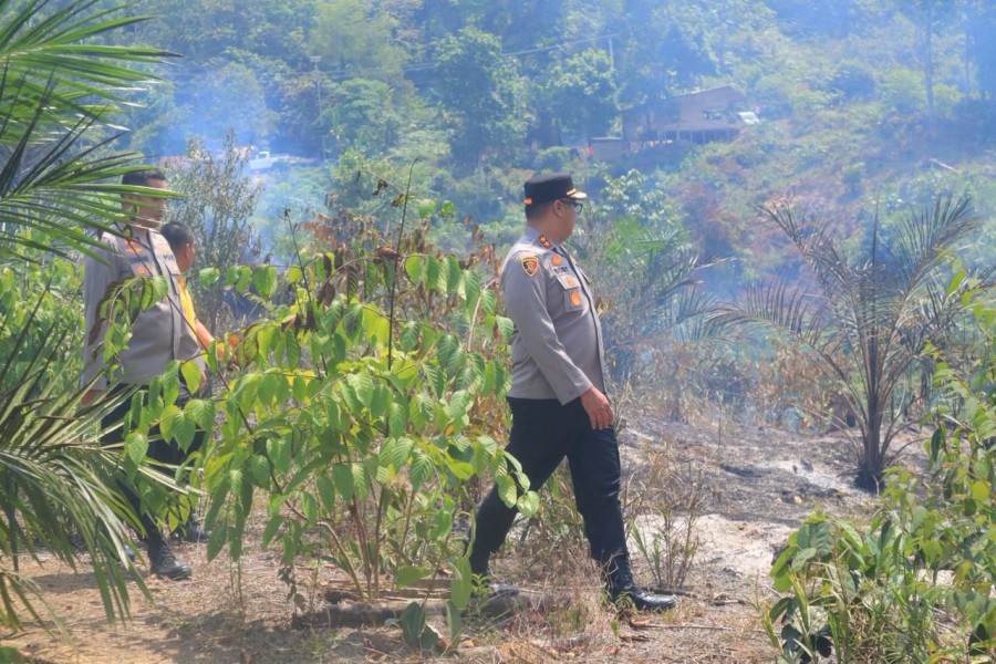 Waspada! 259 Hotspot Terdeteksi di Riau, 42 Titik Dipastikan Karhutla