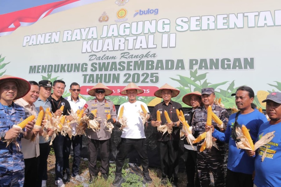 Walikota Pekanbaru Ikuti Panen Raya Jagung Serentak